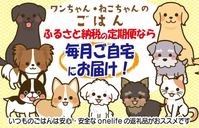 【定期便】国産 無添加 ドッグフード「いのちのごはん」1kg×全3回【毎月配送コース】 099Z328