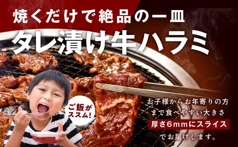 【定期便】牛タン＆牛ハラミ お試し 1kg 焼肉セット【成型牛たん ハラミ 味付き 牛肉 やきにく BBQ 薄切り スライス 訳あり サイズ不揃い 2026年3月＆6月発送 全2回】 099Z445