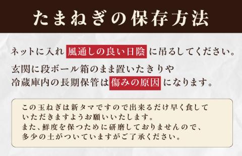 【先行予約】射手矢さんちの泉州プレミアムたまねぎ 3kg 【玉ねぎ タマネギ 玉葱 甘い 野菜 国産 期間限定 オニオン スライス サラダ カレー シチュー バーベキュー BBQ 肉じゃが】 G3679