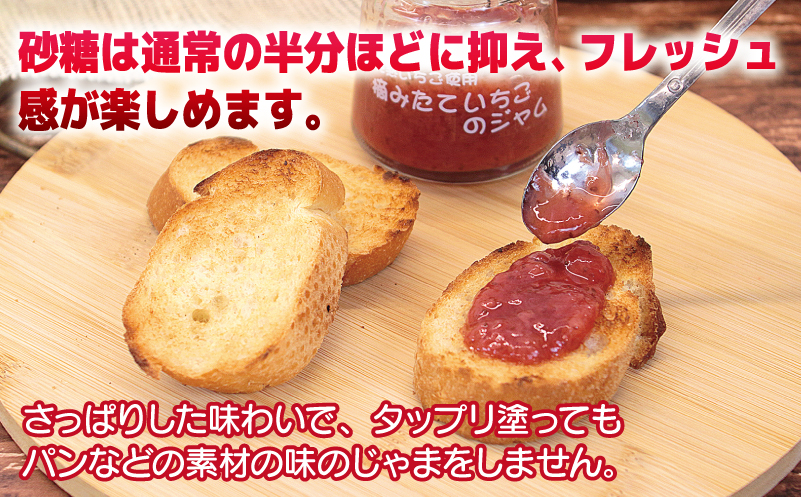 【先行予約】完熟朝摘みいちごのジャム【苺 無添加 自然素材 フルーツ イチゴ 高評価 数量限定】 005A433