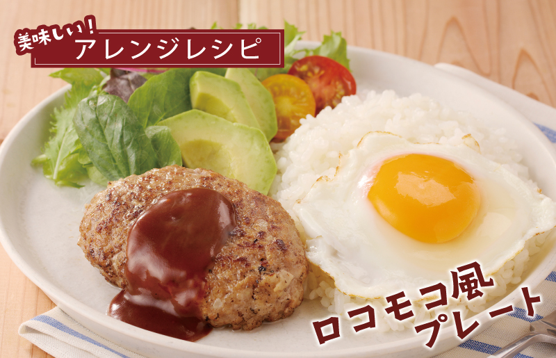 【泉佐野ブランド豚】犬鳴豚の手作りプレミアムハンバーグ（10個入り） 099H3809