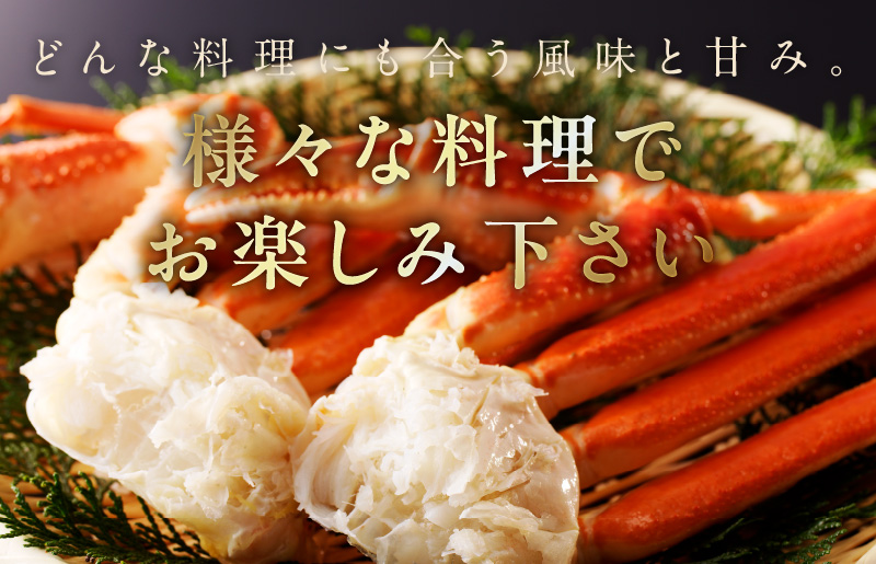 カニ ボイルズワイ蟹 800g（400g×2肩）約2-3人前 昆布仕立て kgp0062