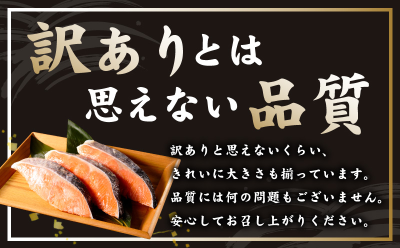 銀鮭 切り身 1kg 9切れ前後【お試し TVで紹介 訳あり サイズ不揃い 海鮮 魚介 鮭 さけ しゃけ お弁当 簡単調理】 kgp0125