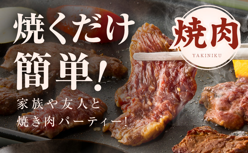 【満足牛ハラミ】甘辛タレ漬け 合計1kg 【味付け ハラミ 小分け 焼くだけ 簡単調理 BBQ 牛肉 250g×4P】 G3358