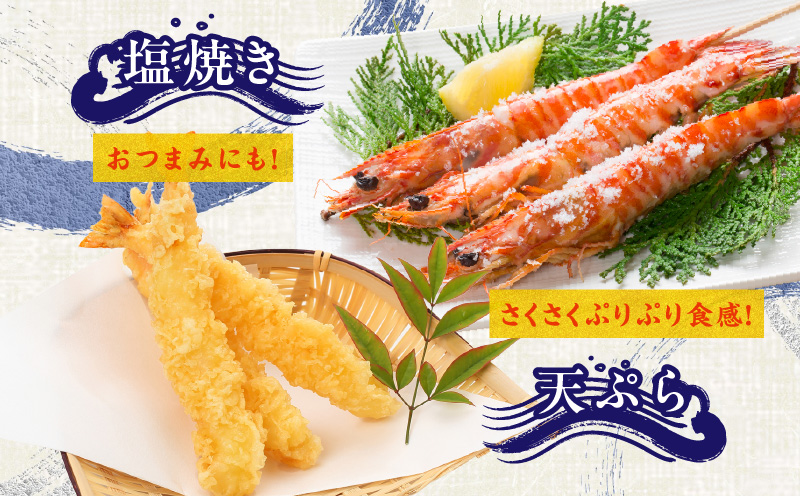 【TVで紹介！】泉州車えび 300g【生食可 海鮮 車海老 車エビ 海老 えび エビ 刺身 産地直送 急速冷凍 鮮度抜群】 G2179