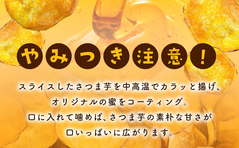 【圧倒的企業努力】芋匠さのや特製 濃厚スイートポテト+さのやチップス（プレーン味）付き 010B1759