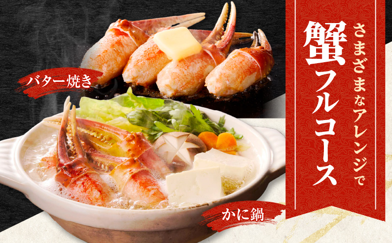 ボイル 本ズワイ蟹 爪肉 500g カット済み（2-3人前） kgp0029