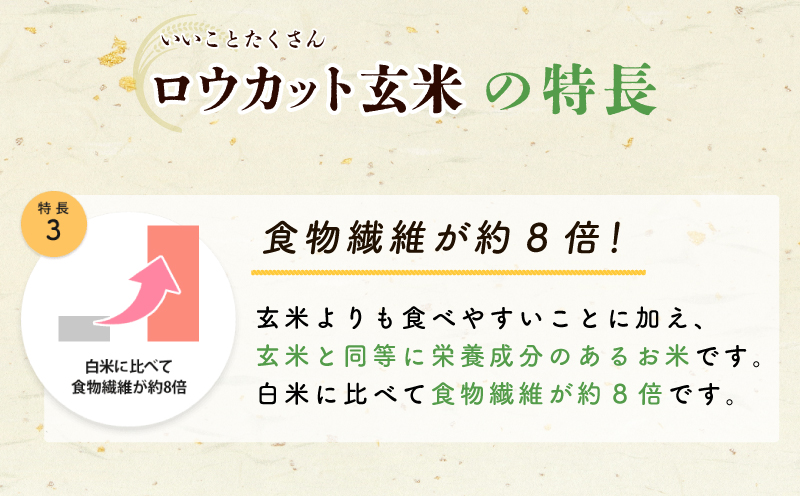 金芽ロウカット玄米4kg（2kg×2袋）【東洋ライス 2kg×2P お米 米 こめ 国産 小分け】 099H202