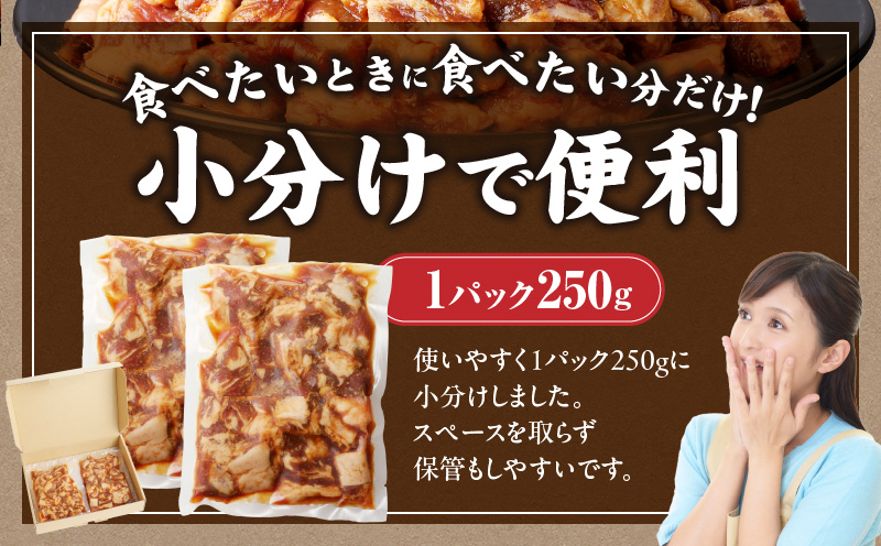 特製タレ漬け 中落ちカルビ 500g 小分け 250g×2P 牛肉 焼き肉専門店 099H3565