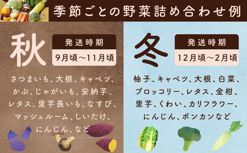 新鮮 野菜セット 10種類【国産 新鮮 おまかせ お楽しみ 旬 詰め合わせ 泉州野菜】 099H2491