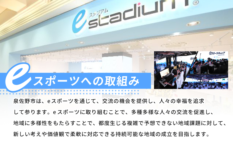 ボックスティッシュ 60箱×400枚（200組）【生活用品 雑貨 日用品 必需品 紙 常備品 まとめ買い 備蓄 防災 ティッシュペーパー てぃっしゅ ティッシュ eスポーツ応援 泉佐野市オリジナル】 099H3422