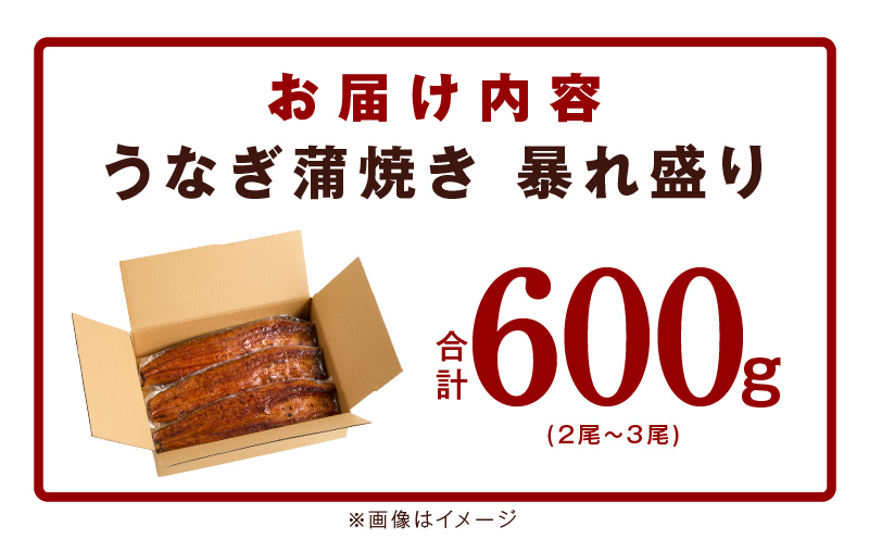 うなぎ 蒲焼き 暴れ盛り 合計 600g【鰻 真空パック 簡単調理 訳あり サイズ不揃い 人気 惣菜 うな重 うな丼 ひつまぶし にも】 G3615