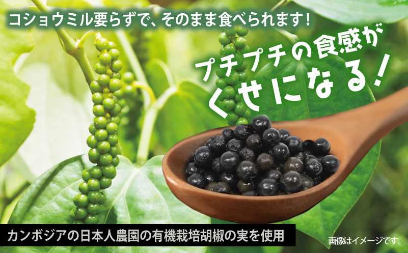 生胡椒 極(きわみ) 60g×1本【能登の塩 コショウ こしょう カンポットペッパー スパイス カンボジア】 099H4173