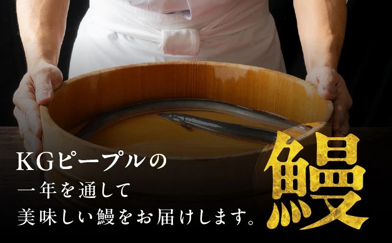 秘伝のたれ仕込み うなぎ蒲焼 合計480g（約160ｇ×3尾）鰻 ウナギ 中国産 温めるだけ 簡単 レンジ調理 ふっくらふわふわ 炭火焼き 備長炭 手焼き kgp0066