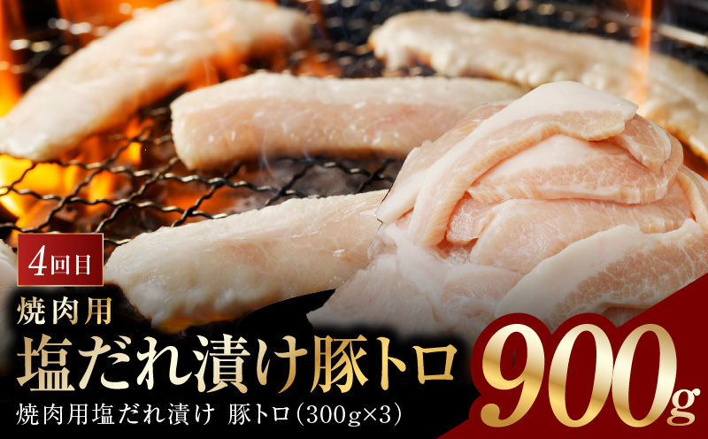 アキラ商店 肉三昧 総量 4kg以上 定期便 全4回【毎月配送コース お楽しみ 焼肉 ていきびん 焼くだけ 小分け BBQ やきにく 数量限定】 099Z127