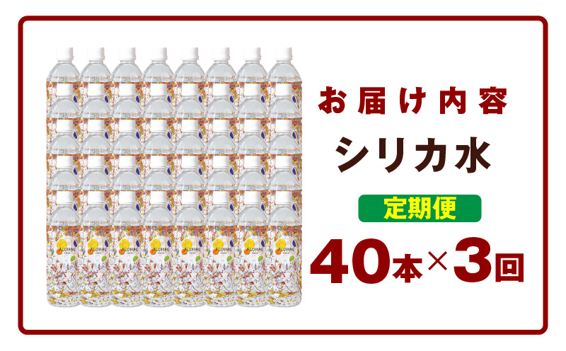 【定期便】ALOHAS シリカ水 合計20L (500ml×40本入り)×全3回 099Z359