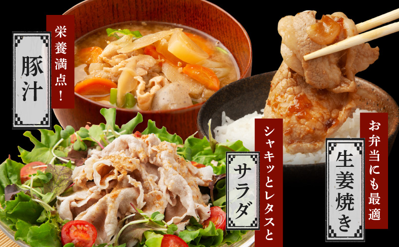 国産 豚肉 切り落とし 2.4kg【国産 味付け肉 400g×6P 小分け 訳あり 部位不揃い】 G3654