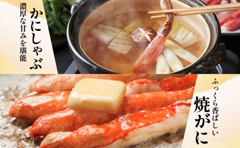 【無地熨斗】本ズワイガニ ポーション 1kg前後 生食可 蟹酢付【約 4-6人前 昆布塩加工 しゃぶしゃぶ 訳あり かに カニ ズワイガニ 脚 ズワイ蟹 ずわい蟹 ずわいがに むき身 生食 刺身 蟹肉 鍋 北国からの贈り物】 030D204-1