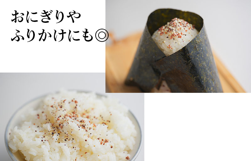 焼き肉専門店 梅じお ガーリック スパイス 90g×1袋 お試し W118