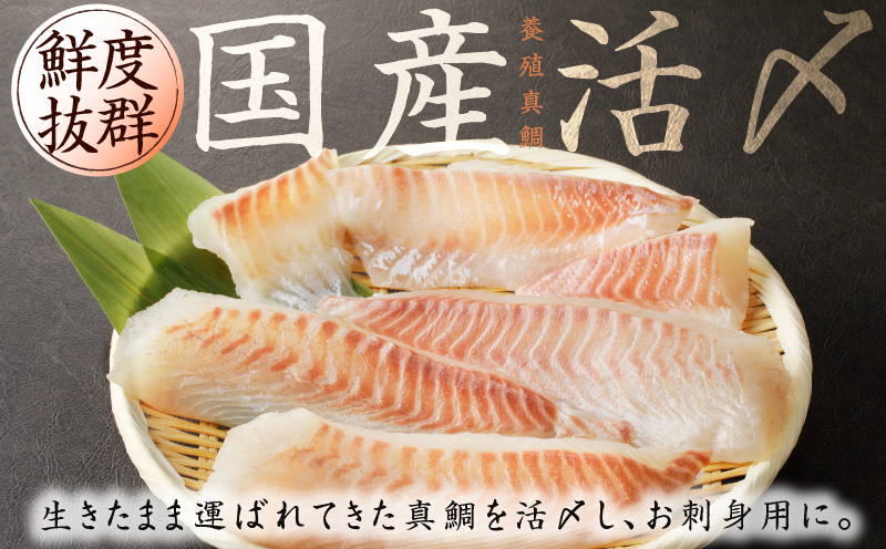 人気海鮮定期便 サーモン／真鯛 食べ比べ 全4回【毎月配送コース 小分け 訳あり サイズ不揃い 刺身 海鮮丼 人気 オススメ 冷凍】】 nbj0005