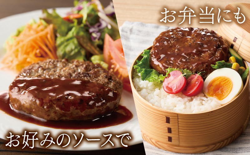 【特別規格】桜文 馬肉ハンバーグ 総量720g（120g×6個） 個包装 お試し 005A659