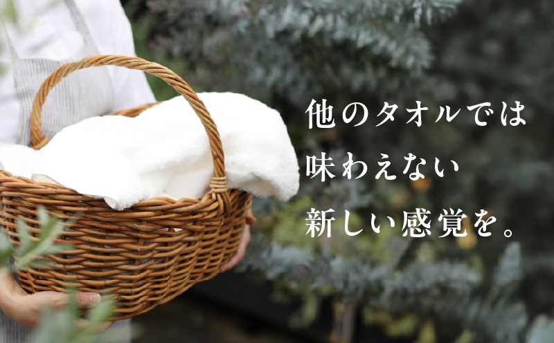 【TVで紹介！】おぅ！え～やん フェイスタオル（ローズ）12枚【泉州タオル 国産 吸水 普段使い 無地 シンプル 日用品 家族 ファミリー】  G3495
