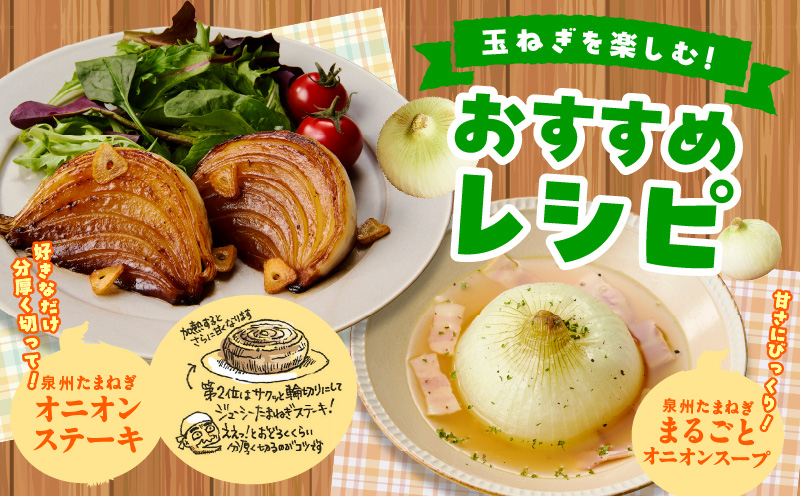 【プレミアム】泉州たまねぎ 5kg【玉ねぎ タマネギ 玉葱 甘い 野菜 国産 オニオン サラダ カレー バーベキュー 先行予約】 ity0023