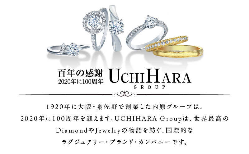 ARC-EN-CIEL プラチナ ダイヤ ピアス（計0.16ct）【鑑別書付き ジュエリー プレゼント ギフト ファッション アクセサリー 贈り物 贈答 お祝い 記念日】 J011-4