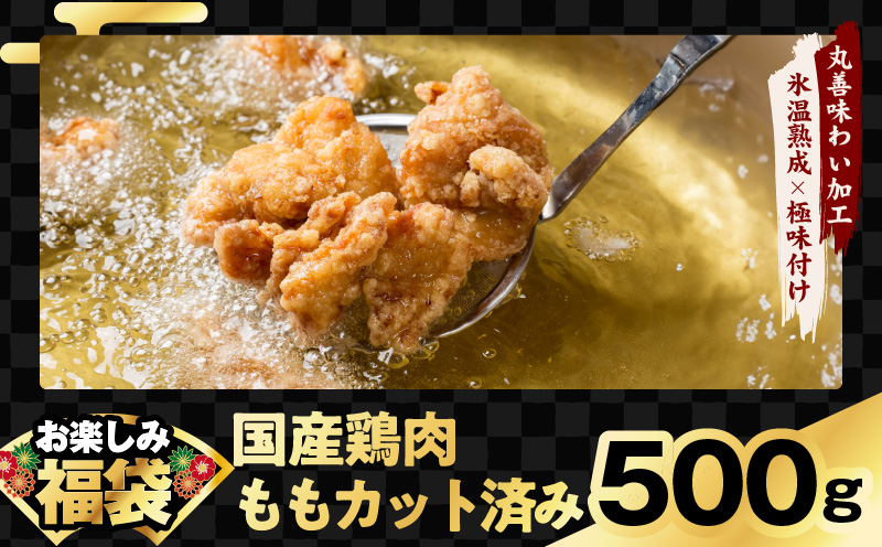 肉福袋 4種 1.9kg 焼肉セット（牛肉 切り落とし／牛ハラミ／豚肉 スペアリブ／鶏肉）【氷温熟成×極味付け 焼くだけ 食べ比べ ふくぶくろ お楽しみ 簡単調理】 mrz0327