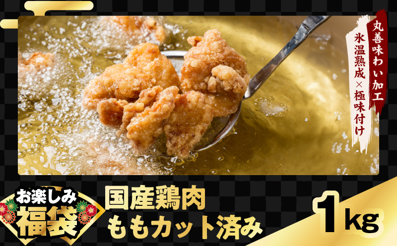 肉福袋 4種 3.8kg 焼肉セット（牛肉 切り落とし／牛ハラミ／豚肉 スペアリブ／鶏肉）【氷温熟成×極味付け 焼くだけ 食べ比べ ふくぶくろ お楽しみ 簡単調理】 mrz0328