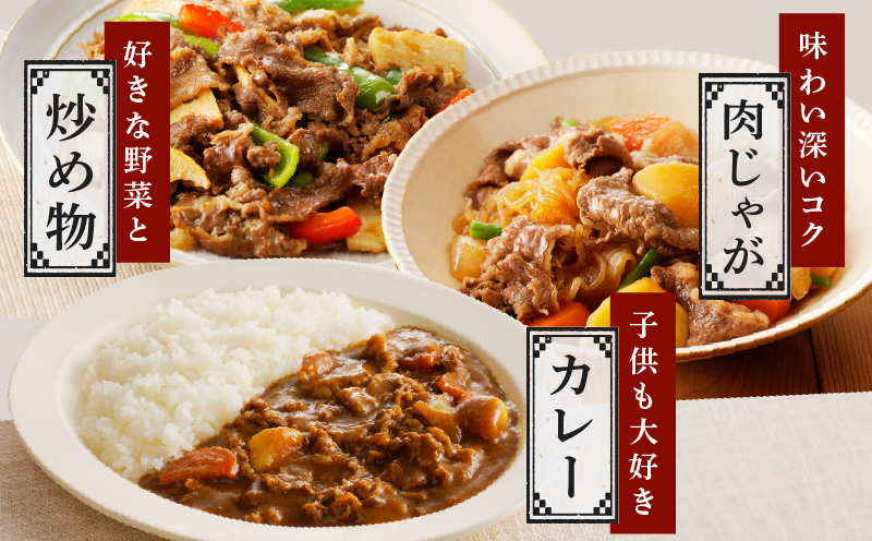【A4ランク以上】黒毛和牛 サーロイン 切り落とし 1kg【250g×4P 小分け 国産 味付き 牛肉 訳あり サイズ不揃い】 G3655-1