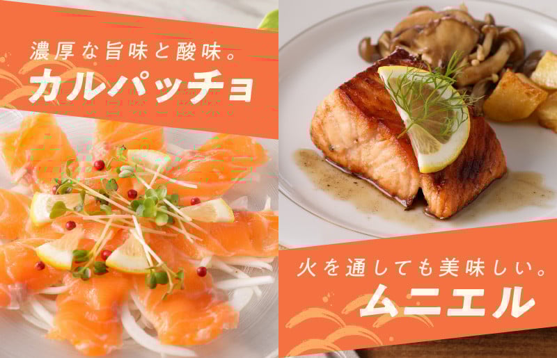 【TVで紹介！】アトランティックサーモン 370g 刺身用ポーション【小分け 真空パック 訳あり サイズ不揃い 刺身 海鮮丼 さーもん 鮭 さけ シャケ しゃけ 冷凍 家計応援】 nbj0002