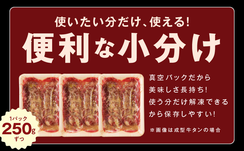 ねぎ塩 牛タン 食べ比べセット 合計 1kg（牛タン 500g／成型牛たん 500g）【焼肉用 焼くだけ 小分け BBQ やきにく】 099H4050