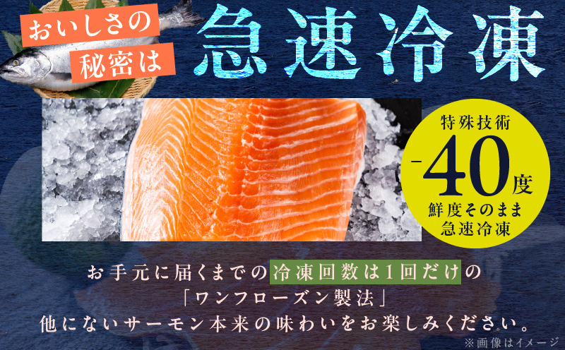 【北国食べ比べ】ボイルズワイ蟹 ビードロカット 400g前後 ＆アトランティックサーモン 約250g【海鮮 食べ比べ 北国からの贈り物 冷凍】 099H3934