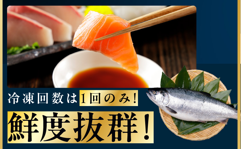 ノルウェー産 プレミアム アトランティックサーモン 1kg 【2～5柵 訳あり サイズ不揃い 上質 刺身 海鮮丼 サラダ 冷凍 物価高応援】 kgp0079