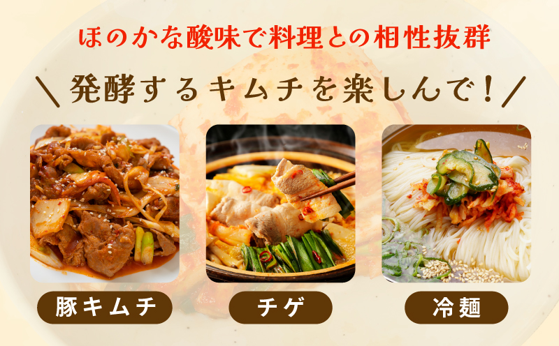 韓国人が作る！無添加・砂糖不使用の贅沢キムチセット1kg+おまけ季節のキムチ100g【本場 韓国 きむち 人気 無添加 韓国料理 惣菜】 G3780