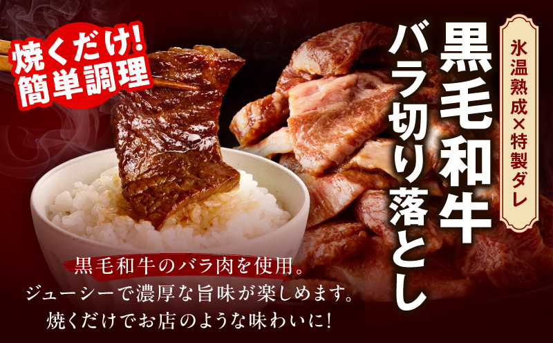 焼肉 福袋 4種 4kg【氷温熟成×特製ダレ 500g 小分け 牛肉 牛タン ヒレ ハラミ バラ 数量限定】 mrz0337