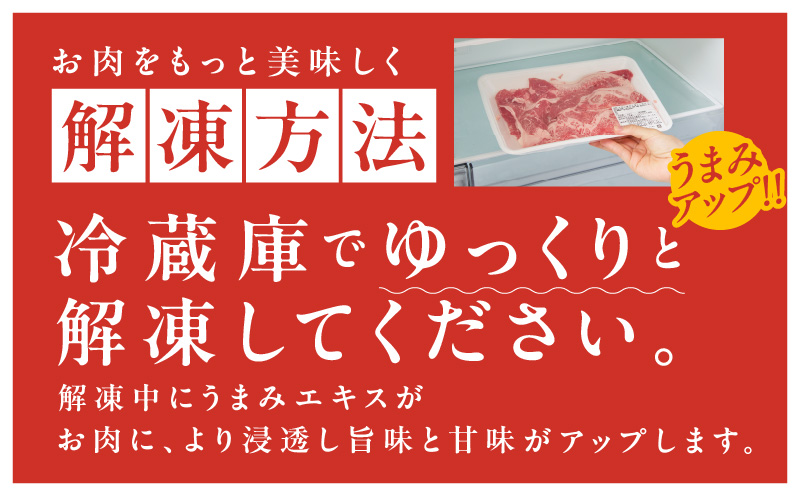国産牛 切り落とし 600g 小分け 300g×2P【氷温熟成×極味付け 国産 牛肉 訳あり サイズ不揃い カレー 牛丼 野菜炒め 肉じゃが 家計応援】 mrz0360
