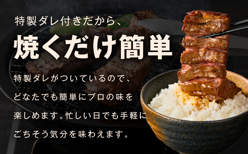 【お試し】赤身カルビ ステーキ 500g 焼肉用 500g×1P【氷温熟成×特製ダレ 牛肉 バラ 切り落とし 訳あり サイズ不揃い】 mrz0384