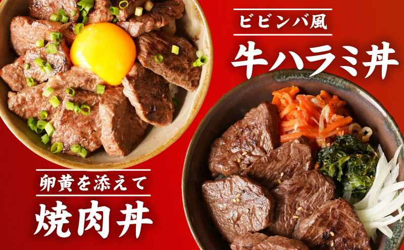 【お試し】牛肉 ハラミ 500g（250g×2P）【氷温熟成×極味付け】 mrz0386