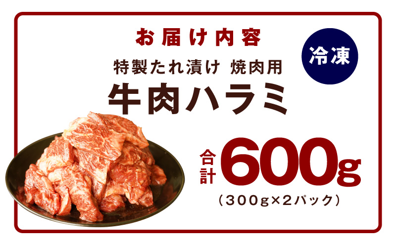 【お試し】牛肉 ハラミ 600g（300g×2P）【氷温熟成×特製ダレ】 mrz0388