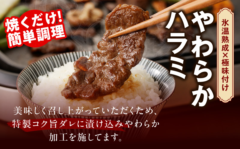 焼肉 福袋 4種セット 定期便 2kg×3回【氷温熟成×特製ダレ 食べ比べ 小分け 500g 牛肉 牛タン ヒレ ハラミ バラ 数量限定 毎月配送コース】 mrzZ027