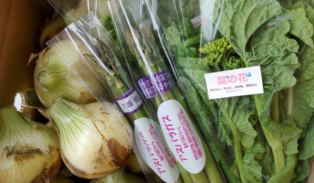 【先行予約】泉州TONOファーム厳選 春の野菜セット【新鮮 野菜 泉佐野産 やさい 数量限定】 005A500