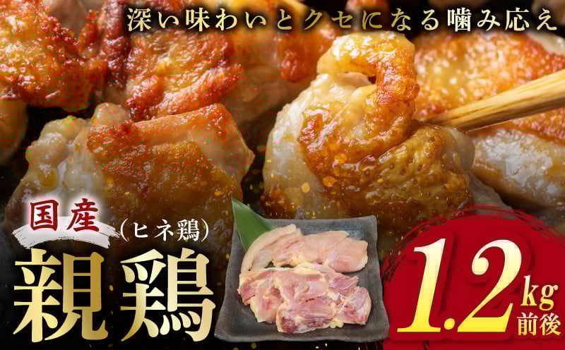 国産親鶏 ヒネ鶏 合計 1.2kg前後 小分け 600g前後×2P 005A600