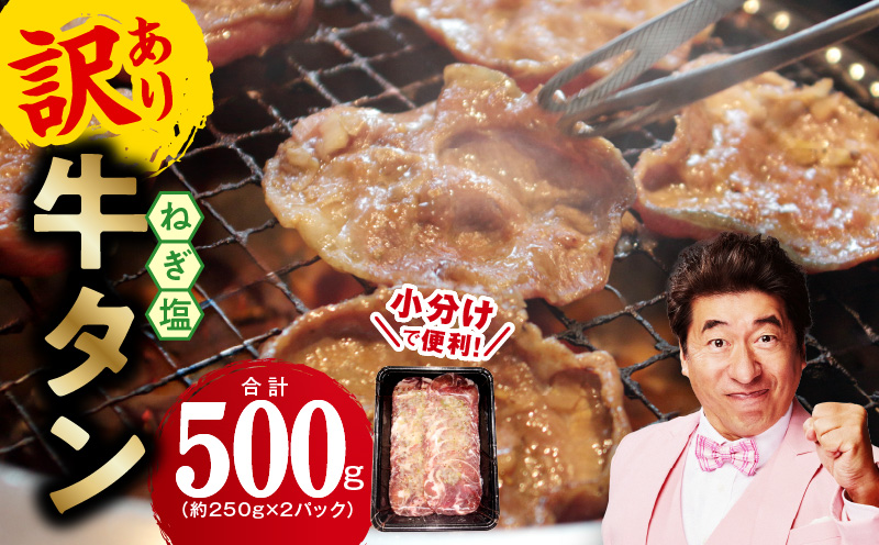 ねぎ塩 牛たん お試し 500g【小分け 250g×2 成型 牛タン 牛肉 焼肉用 薄切り 訳あり サイズ不揃い】 005A741