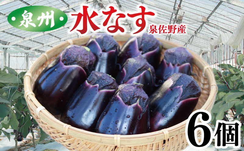 泉州 泉佐野市産 ハウス水なす 6個 夏旬の水なすを冬にどうぞ！ 005A759
