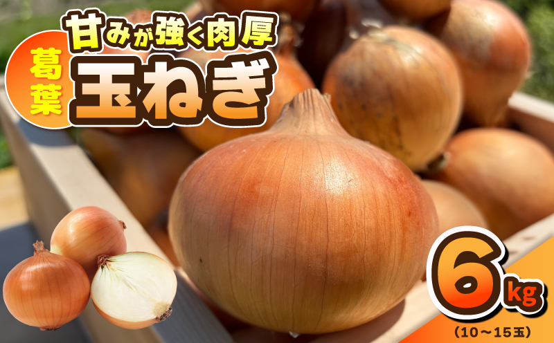 【先行予約】葛葉玉ねぎ 6kg（10～15玉） 010B1773