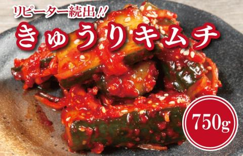 リピーター続出！こだわりきゅうりキムチ 750g【新鮮野菜 高評価 人気 惣菜 きむち 漬物 韓国グルメ おつまみ 家計応援】 099H4179