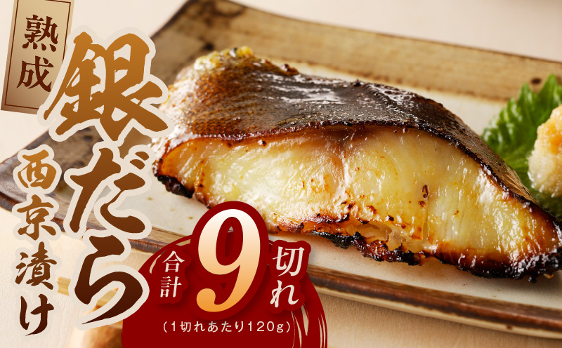 銀鱈 西京漬け 120g×9切れ【厚切り 小分け 熟成 銀だら ぎんだら ギンダラ 海産物 魚 惣菜 西京焼き 味噌 お酒のあて 訳あり サイズ不揃い 家計応援 切り落とし】 kgp0081