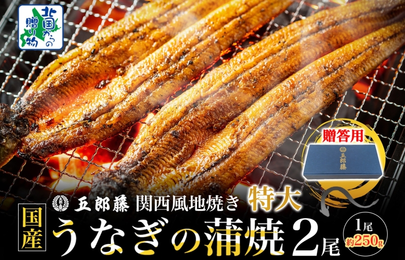 【贈答用】五郎藤 関西風地焼き 国産有頭旨鰻 250g×2尾 計約500g 特大 うなぎ ウナギ 蒲焼き 炭火 015B385-1